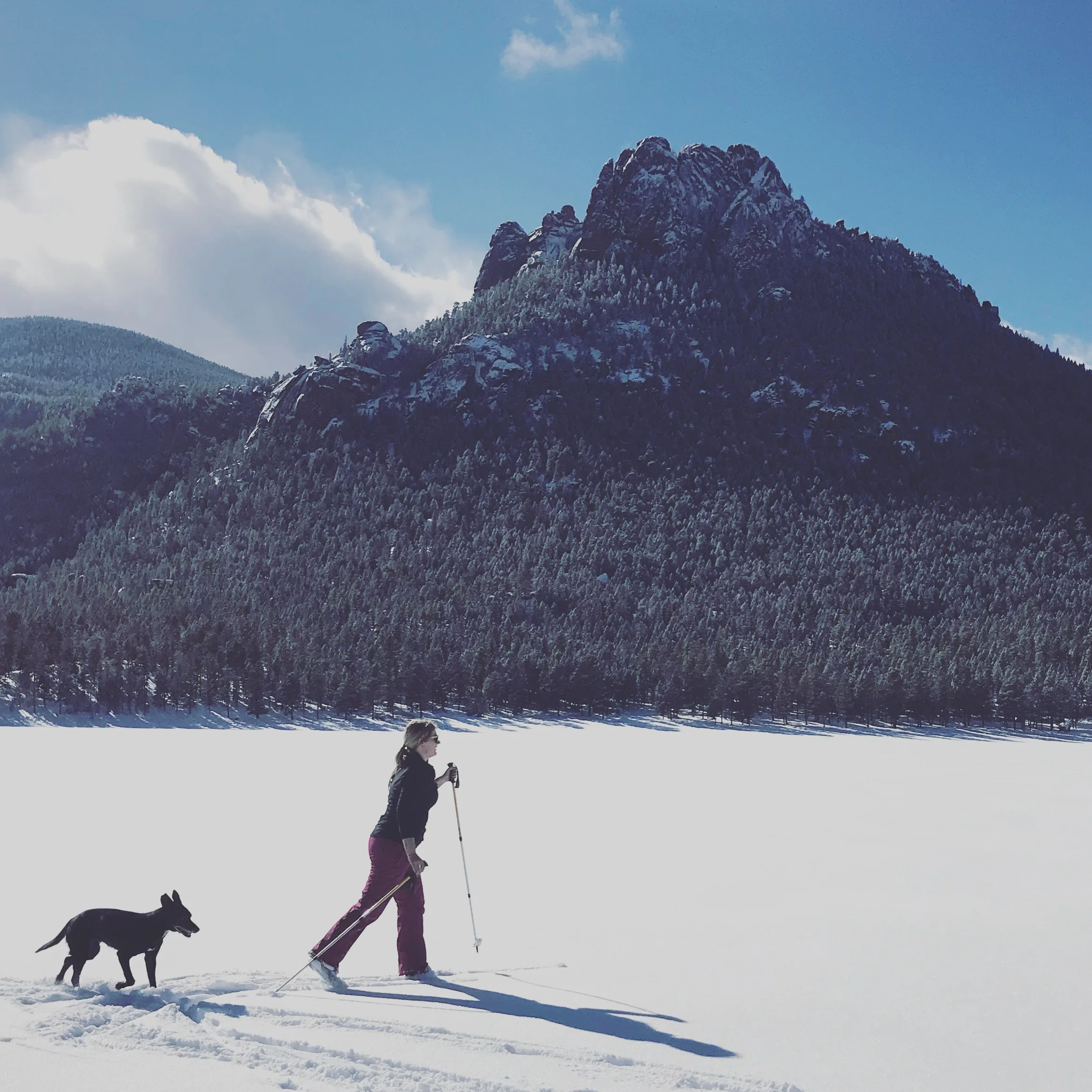 Cross Country Ski — Castle Mountain Recreation at Wellington Lake